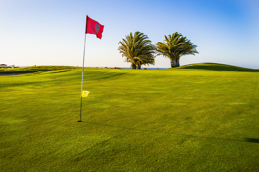 Salinas Golf: green