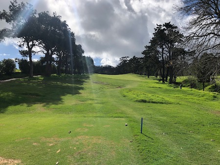 Real Tenerife Golf