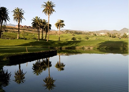 El Cortijo Golf: lake and palm trees